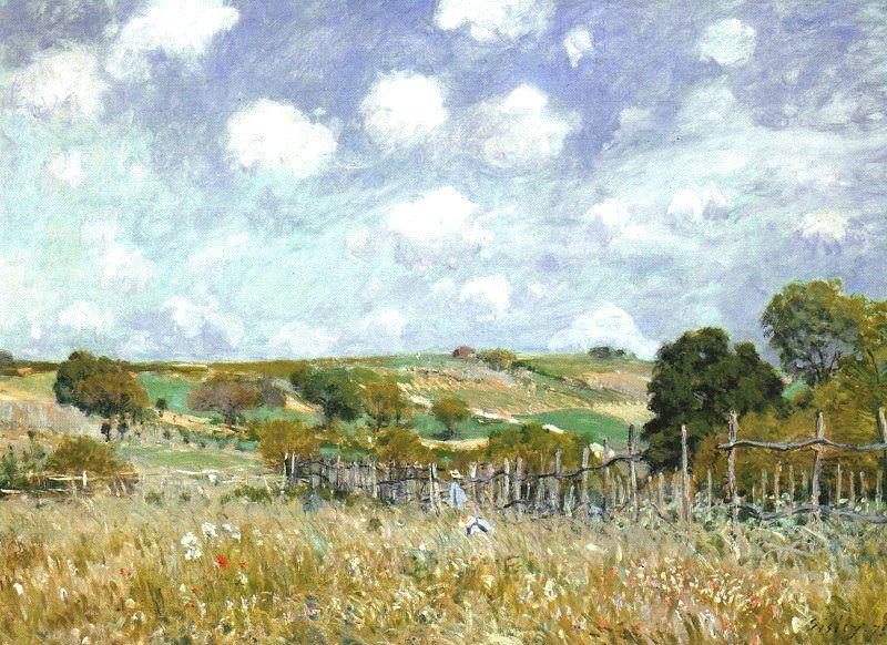 Alfred Sisley Meadow